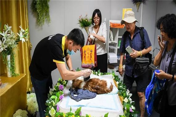牡丹江宠物殡葬服务，宠物骨灰晶石定制，十年老店