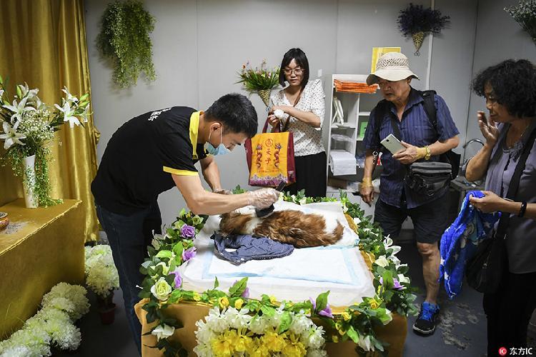 上海宠物火化价格，宠物火化馆，动物无害化处理中心