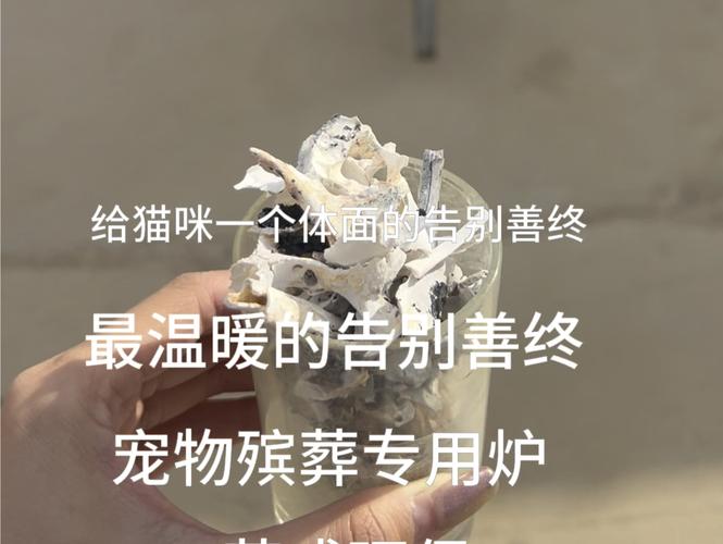 惠州宠物善后，宠物骨灰晶石定制，宠物殡葬一条龙