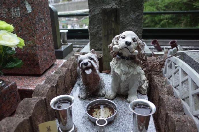 深圳宠物殡葬服务，宠物骨灰晶石定制，宠物殡葬一条龙