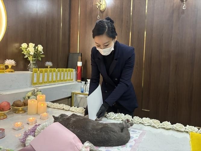 淄博宠物殡葬服务，24小时营业，十年老店