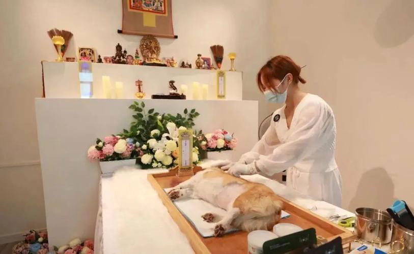 喀什哪里有宠物殡仪馆，宠物骨灰晶石定制，宠物殡葬一条龙