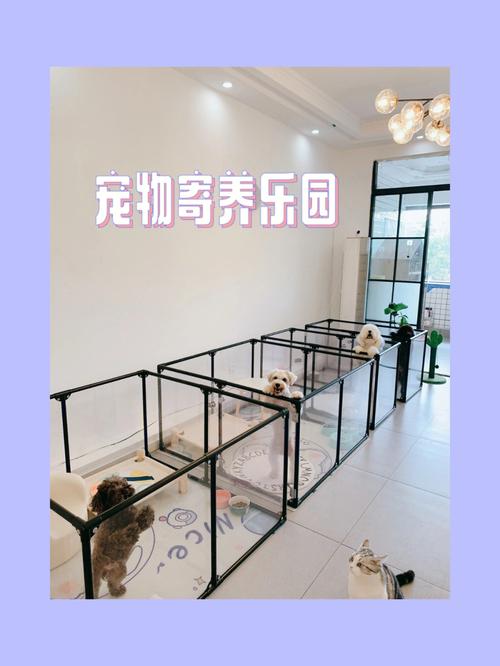 连云港家庭式宠物寄养好去处，让您的宠物在我们这里安心度假