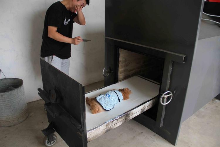 上海宠物火化多少钱，宠物火化馆，宠物殡葬一条龙
