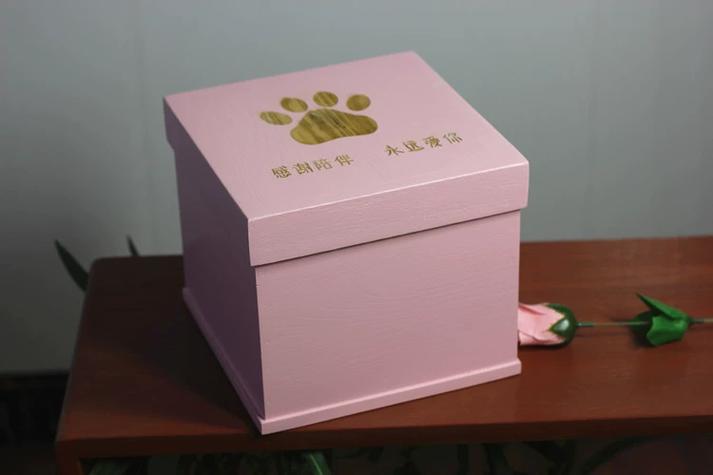广州宠物火化价格，标准化宠物善后，十年老店