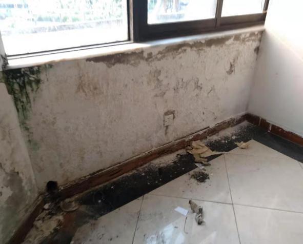 喀什本地房屋漏水维修,师傅电话附近-专业维修