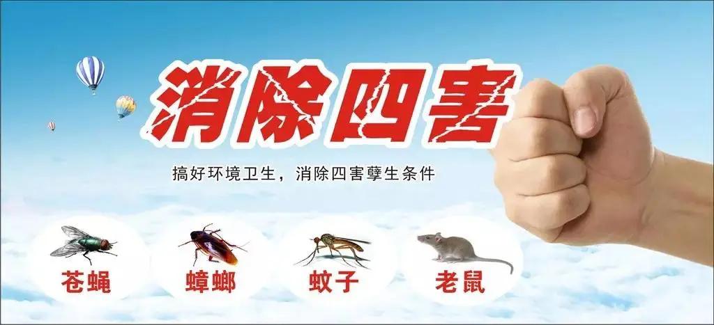 杭州除虫杀虫公司哪家强?提供除四害服务