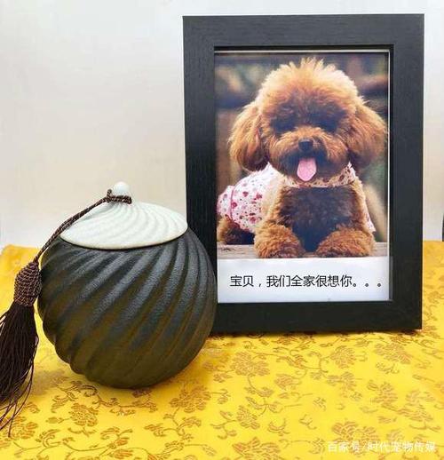 淮北正规宠物殡葬公司，标准化宠物善后，动物无害化处理中心