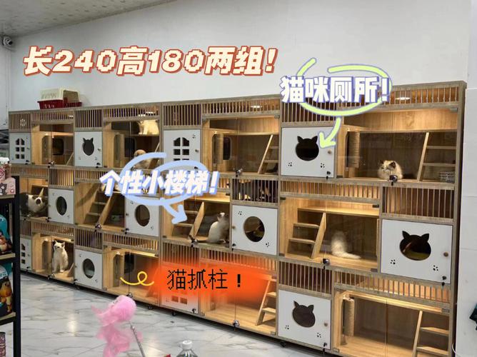 广州猫咪寄养怎么收费?提供24小时监控视频