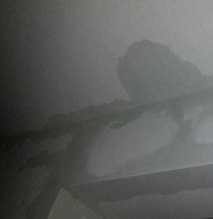锦州修屋顶漏水,上门维修-专业维修