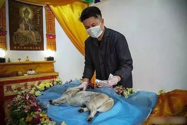 广州哪里有宠物殡仪馆，节假日正常营业，宠物殡葬一条龙