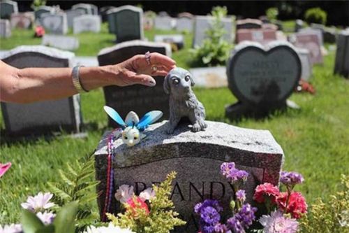 达州正规宠物殡葬公司，标准化宠物善后，宠物殡葬一条龙