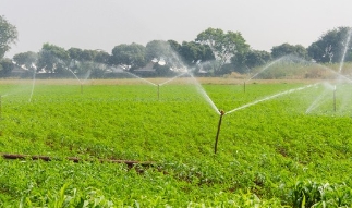 灌溉排涝资质升级难点分析：乙级至甲级的跨越