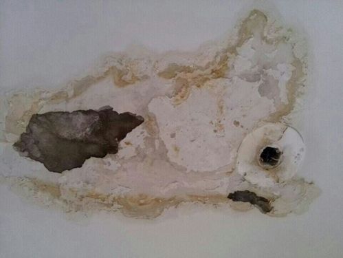宁波室内墙面渗水维修,不要砸砖-专业维修