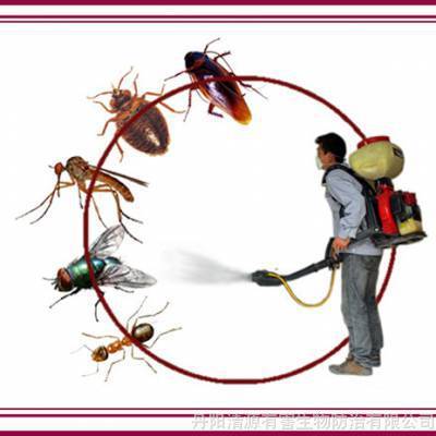 抚州专业灭蟑螂防治所哪家强?提供灭鼠,除四害,除蟑螂,灭白蚁