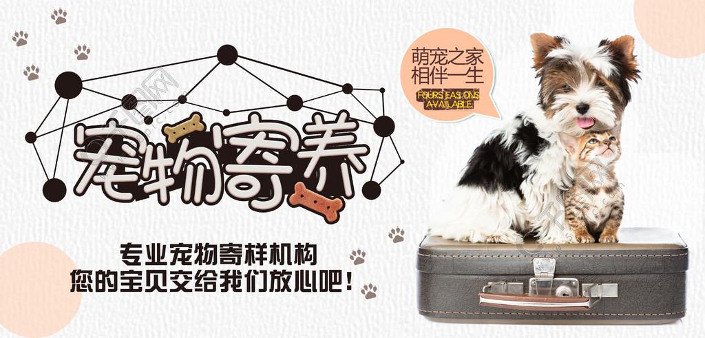 内江宠物狗寄养好去处，提供24小时监控视频