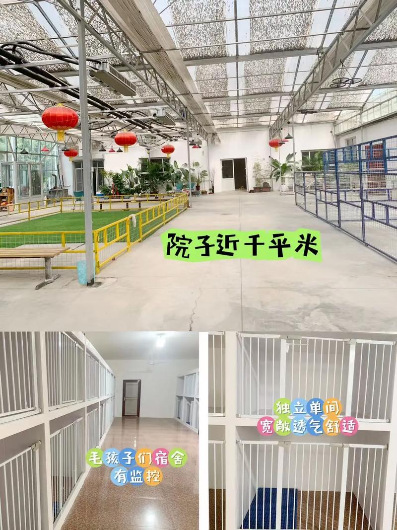 襄樊宠物寄养中心好去处，提供24小时监控视频