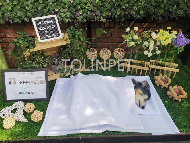 郑州宠物殡葬，标准化宠物善后，动物无害化处理中心