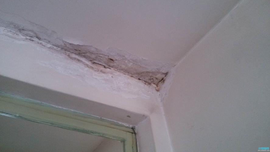 阿拉善修屋顶漏水,不要砸砖-专业维修
