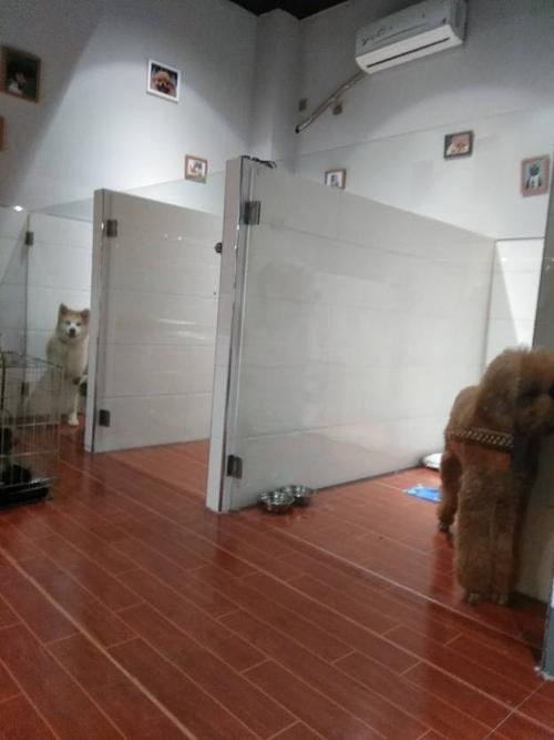 吐鲁番宠物寄养中心好去处，提供24小时监控视频