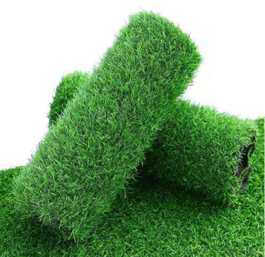 丽水绿化带土草坪草皮出售-热情商家，品质保证