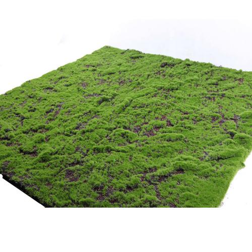 忻州各种冷季型绿化草坪草皮出售-长期合作，信誉保障