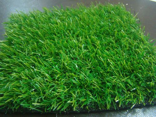 襄樊绿化带土草坪草皮出售-热情商家，品质保证