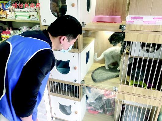 漯河小长假宠物寄养多少钱一天？提供24小时监控视频