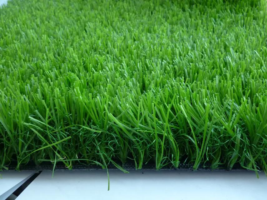 淮北各种冷季型绿化草坪草皮批发-服务到位，让您放心