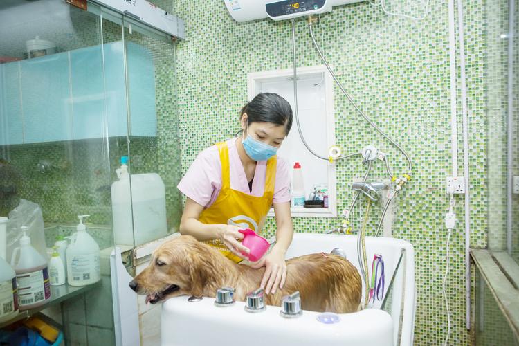 张家界宠物医院-领先的宠物医疗技术，确保治疗效果