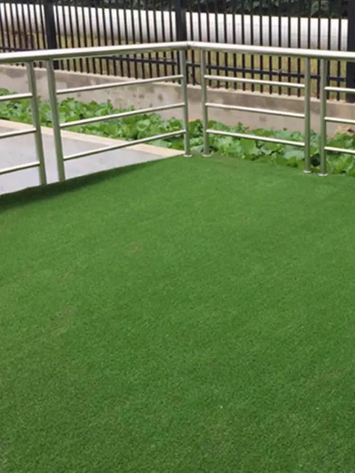 鹤壁各种冷季型绿化草坪草皮供应-信誉佳，欢迎来电咨询