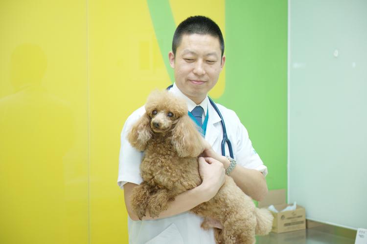 忻州值得信赖的宠物医院-24小时营业