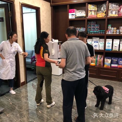 惠州宠物皮肤科医院-专业医生在线咨询