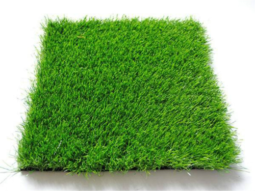百色绿化带土草坪草皮批发-服务到位，让您放心