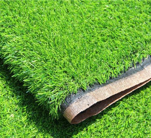 柳州各种冷季型绿化草坪草皮供应-长期合作，信誉保障
