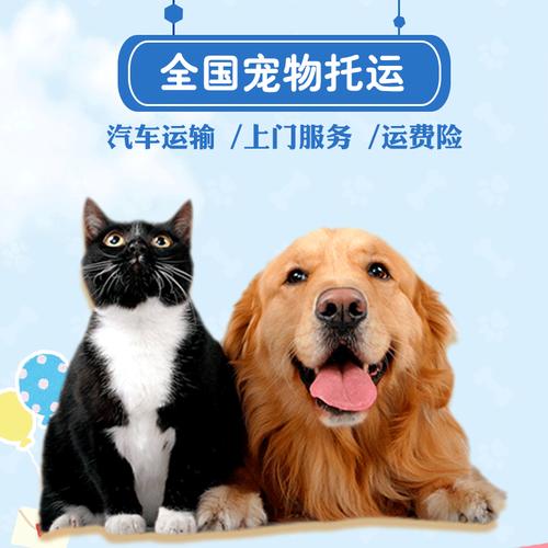 北京宠物出国托运,全国上门接送