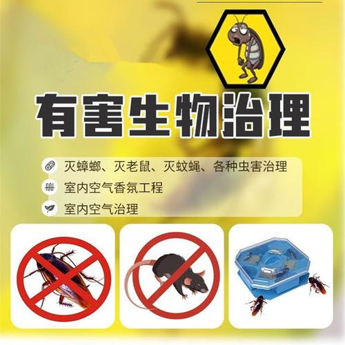 广州专业灭蟑螂防治所哪家强?提供除四害服务