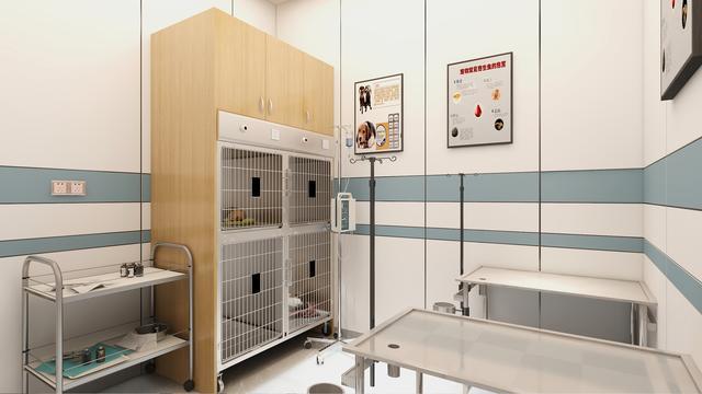 海北狗狗医院-领先的宠物医疗技术，确保治疗效果