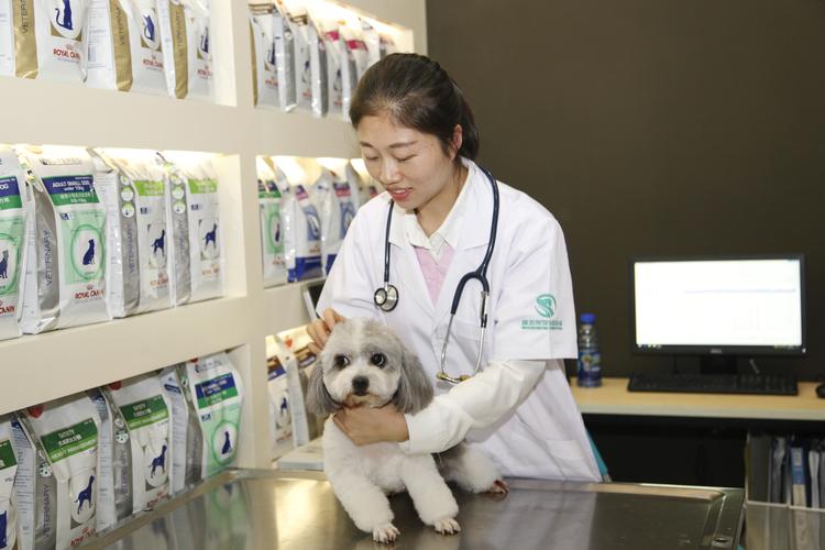 黄石宠物狗医院-专业团队，保障您的宠物健康