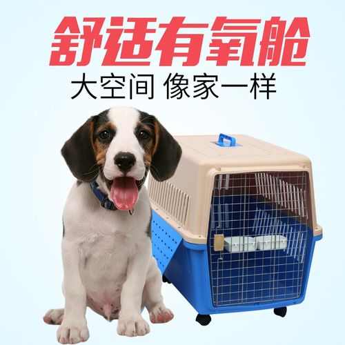 安庆宠物托运平台,24小时免费上门接送