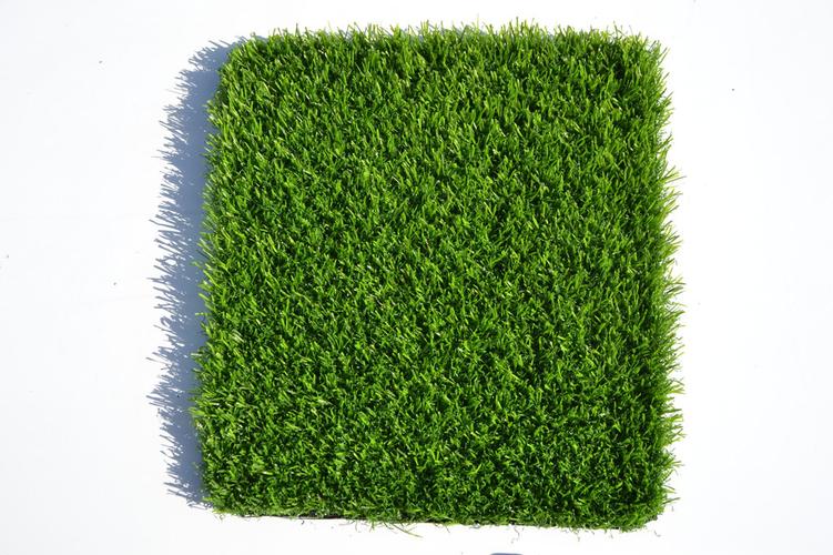 铜仁各种冷季型绿化草坪草皮供应-热情商家，品质保证