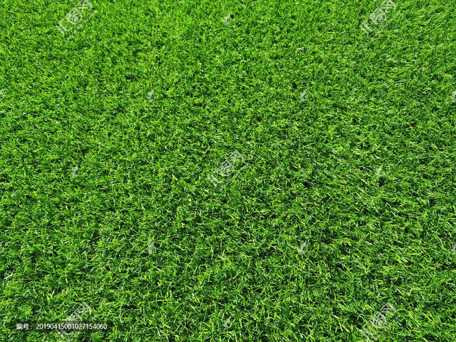 辽阳园林绿化草皮供应-热情商家，品质保证