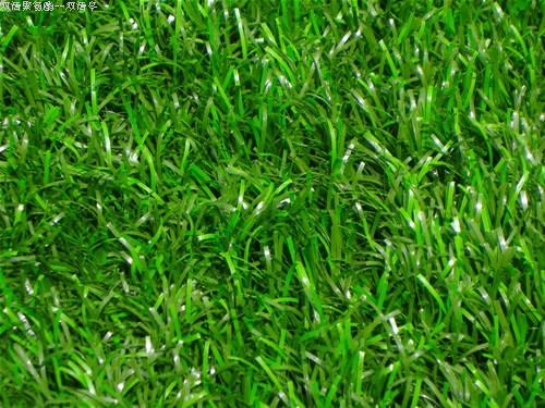 孝感各种冷季型绿化草坪草皮出售-长期合作，信誉保障