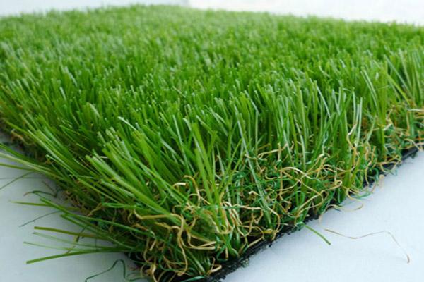 克拉玛依绿化带土草坪草皮出售-热情商家，品质保证