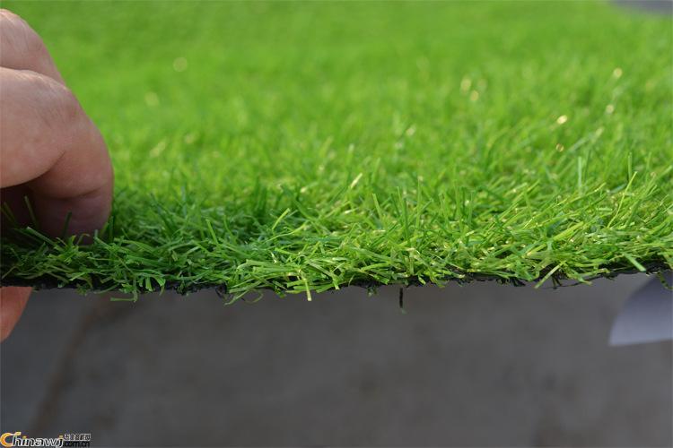 永州各种冷季型绿化草坪草皮出售-热情商家，品质保证