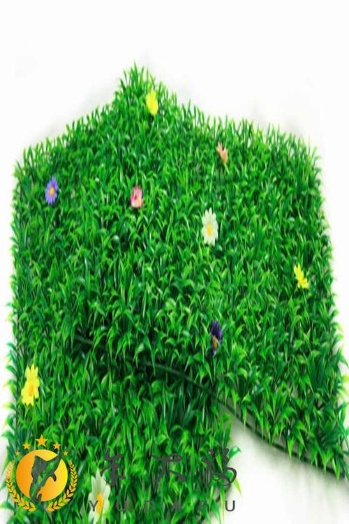 桂林绿化带土草坪草皮出售-热情商家，品质保证