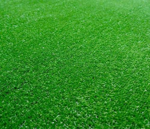 蚌埠绿化带土草坪草皮出售-长期合作，信誉保障