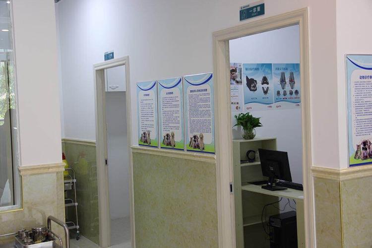 桂林宠物皮肤科医院-24小时紧急救援服务