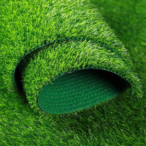 晋中绿化带土草坪草皮供应-长期合作，信誉保障