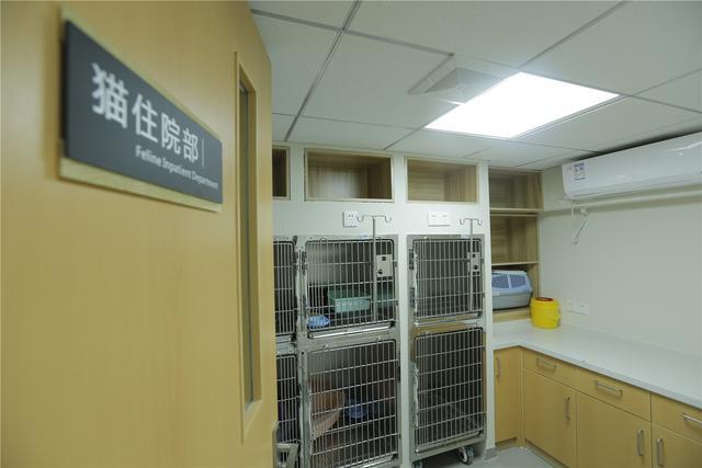 白银附近正规宠物医院-领先的宠物医疗技术，确保治疗效果